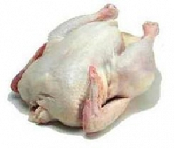 Gà ta